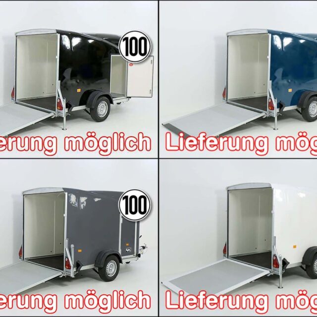Debon Kofferanhänger Cargo 1300 Vollpoly 150x290cm H:160cm, Tür