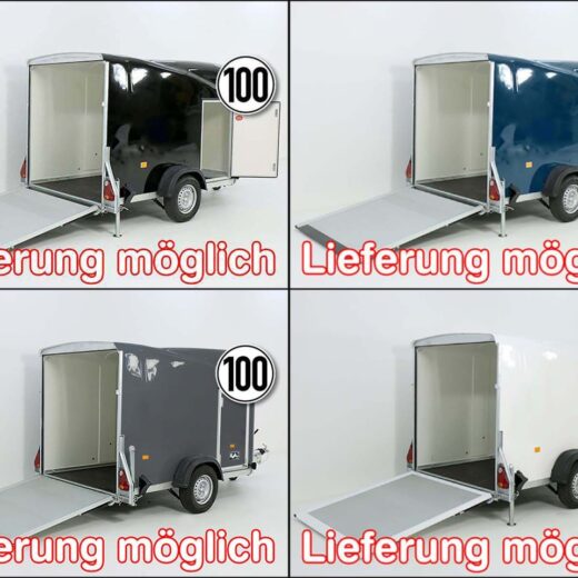 Debon Kofferanhänger Cargo 1300 Vollpoly 150x290cm H:160cm, Tür